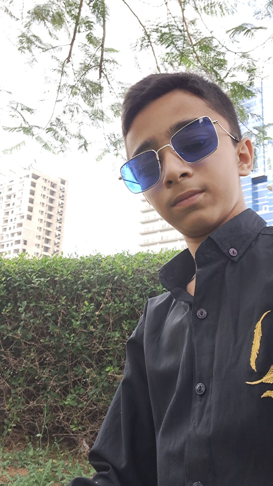 Picture